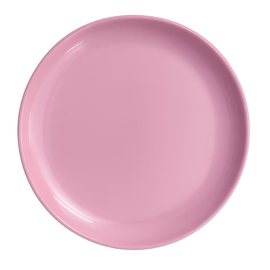10" Rice Plate (Coloured)