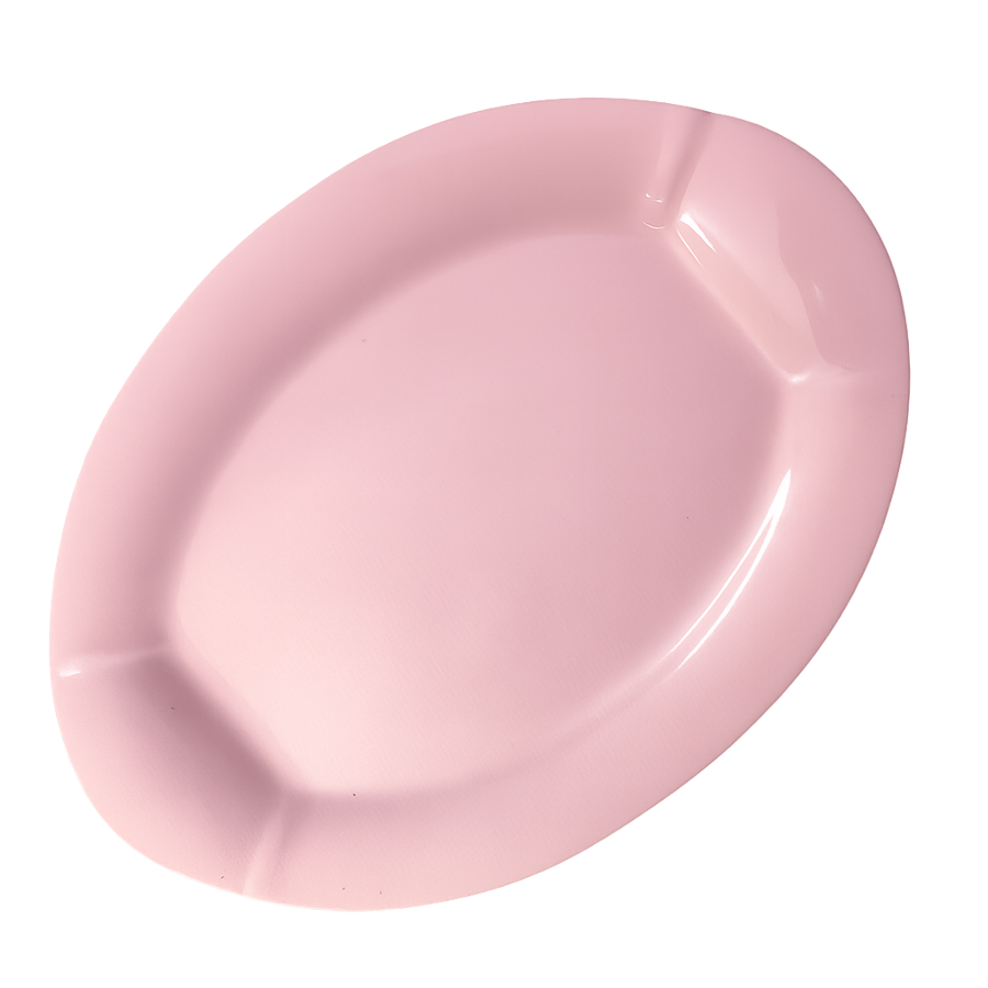 Rice Dish (Coloured)