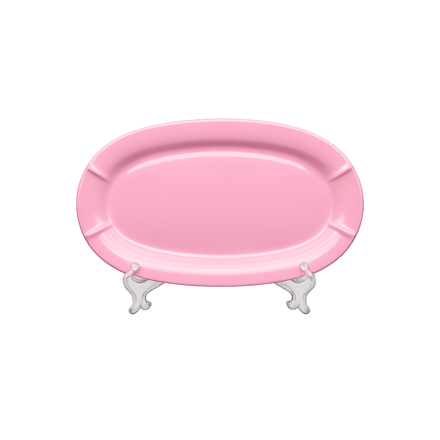 Rice Dish (Coloured)
